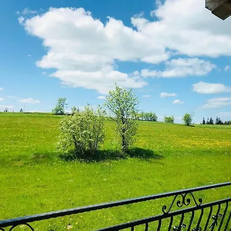 Na Wierchu Bukowiny 펜션 Zaluczne